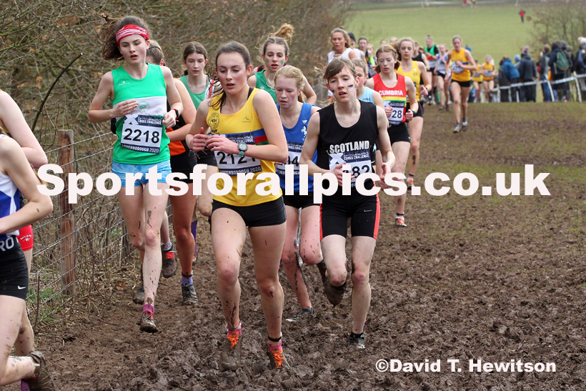 Womens under-17s, 2020 British Athletics Inter Counties Cross Country Champs., Prestwold Hall, Loughborough. Photo: David T. Hewitson/Sports for All Pics